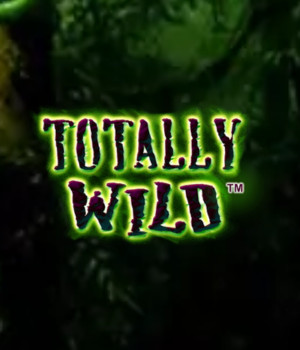 Wild Guns